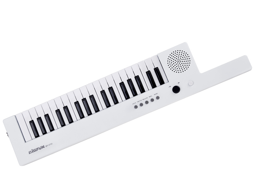 eng_pl_Electronic-organ-with-handle-musical-toy-for-children-IN0172-21168_8