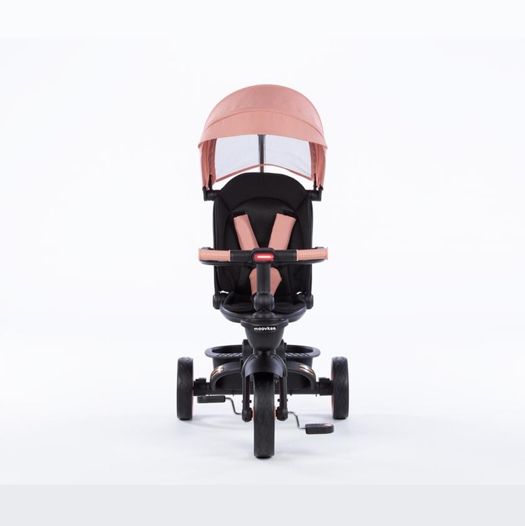 eng_pl_Tricycle-Bike-LIAM-PEACH-PINK-30182_1