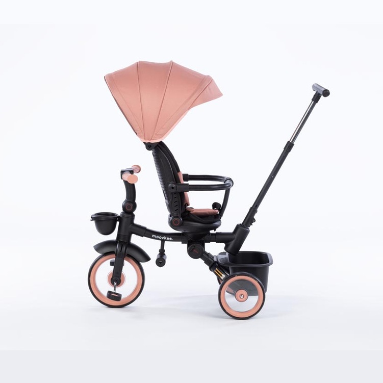 eng_pl_Tricycle-Bike-LIAM-PEACH-PINK-30182_29